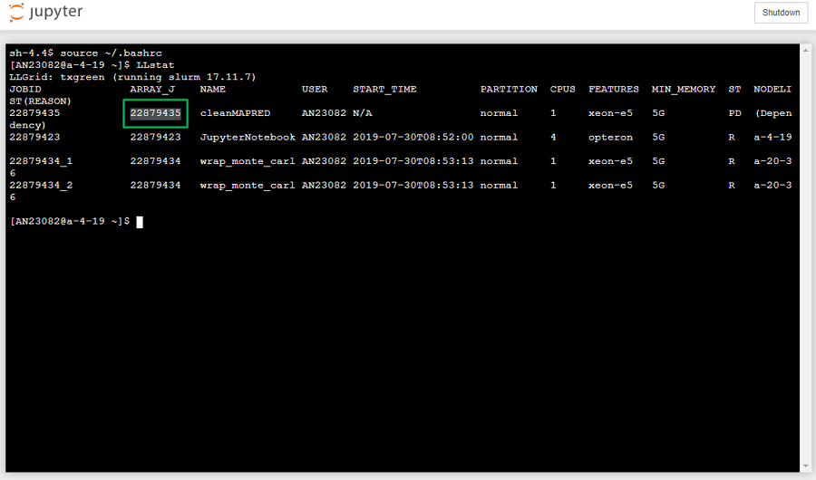 Screenshot of Jupyter terminal with highlighted text (a job ID)